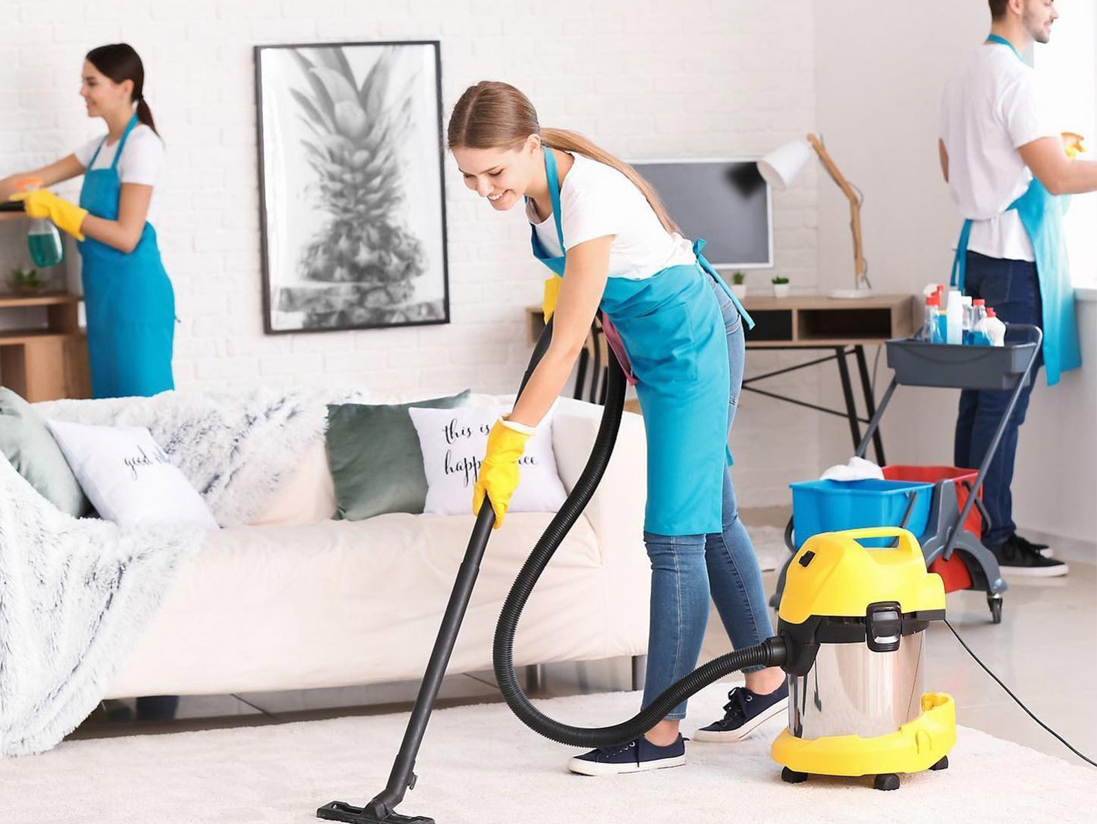 standard cleaning 2